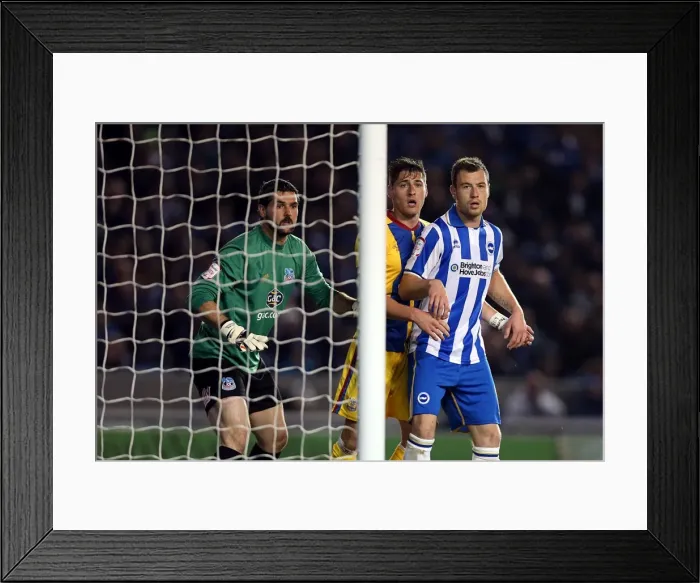 Framed Print : Brighton & Hove Albion vs. Crystal Palace: 2013 Play-Off Semifinal Second Leg Framed Print : Brighton & Hove Albion vs. Crystal Palace: 2013 Play-Off Semifinal Second Leg