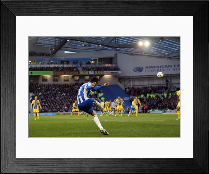 Framed Print : Brighton & Hove Albion vs. Crystal Palace: 2013 Play-Off Semifinal Second Leg Framed Print : Brighton & Hove Albion vs. Crystal Palace: 2013 Play-Off Semifinal Second Leg