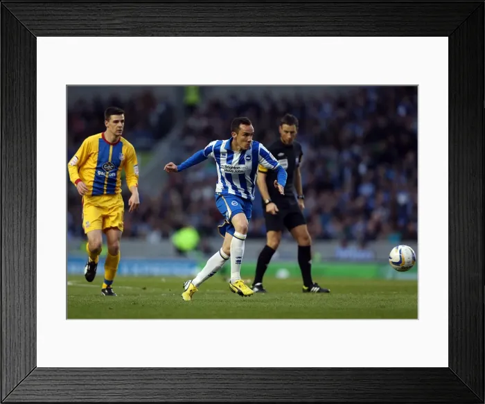 Framed Print : Brighton & Hove Albion vs. Crystal Palace: 2013 Play-Off Semifinal Second Leg Framed Print : Brighton & Hove Albion vs. Crystal Palace: 2013 Play-Off Semifinal Second Leg