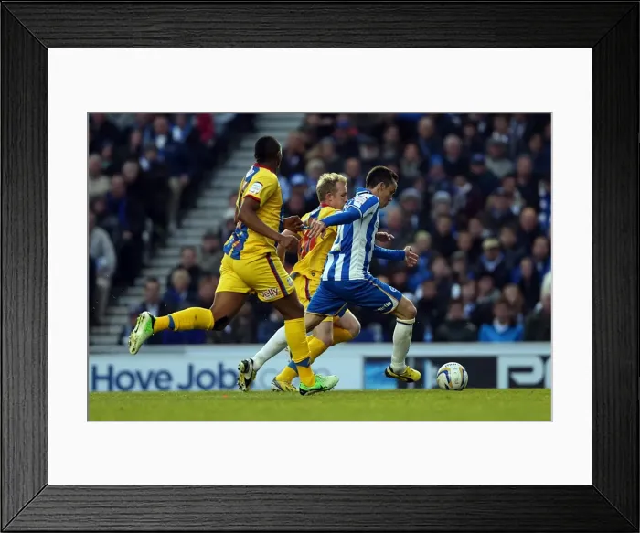 Framed Print : Brighton & Hove Albion vs. Crystal Palace: 2013 Play-Off Semifinal Second Leg Framed Print : Brighton & Hove Albion vs. Crystal Palace: 2013 Play-Off Semifinal Second Leg