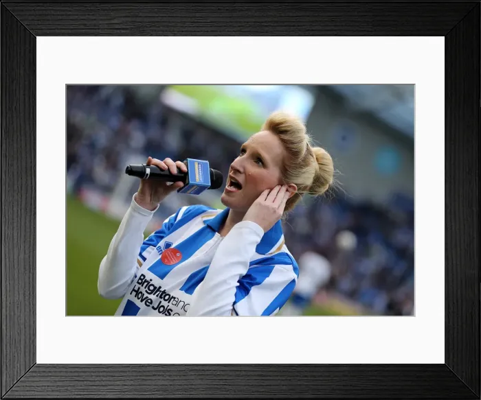 Framed Print : Brighton & Hove Albion vs. Crystal Palace: 2013 Play-Off Semifinal Second Leg Framed Print : Brighton & Hove Albion vs. Crystal Palace: 2013 Play-Off Semifinal Second Leg