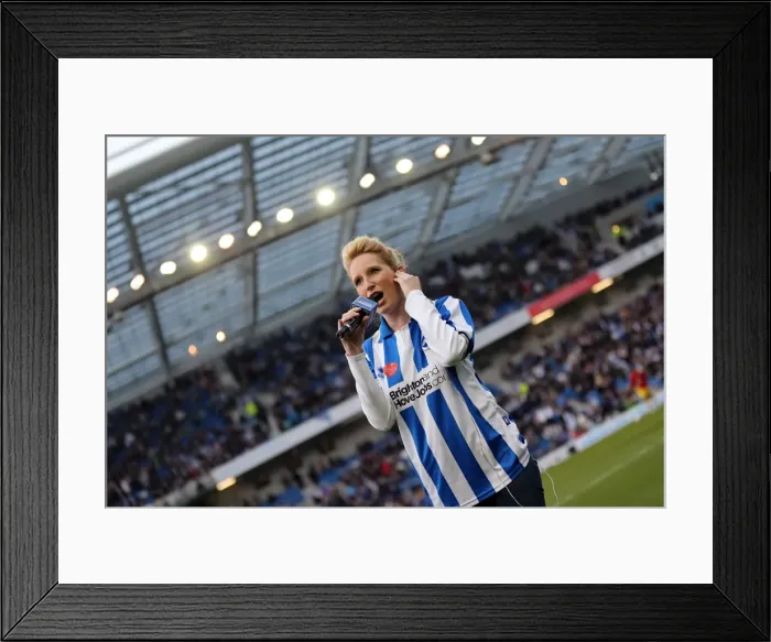 Framed Print : Brighton & Hove Albion vs. Crystal Palace: 2013 Play-Off Semifinal Second Leg Framed Print : Brighton & Hove Albion vs. Crystal Palace: 2013 Play-Off Semifinal Second Leg