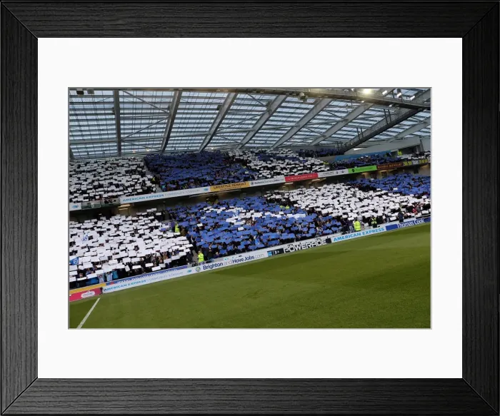 Framed Print : Brighton & Hove Albion vs. Crystal Palace: 2013 Play-Off Semifinal Second Leg Framed Print : Brighton & Hove Albion vs. Crystal Palace: 2013 Play-Off Semifinal Second Leg