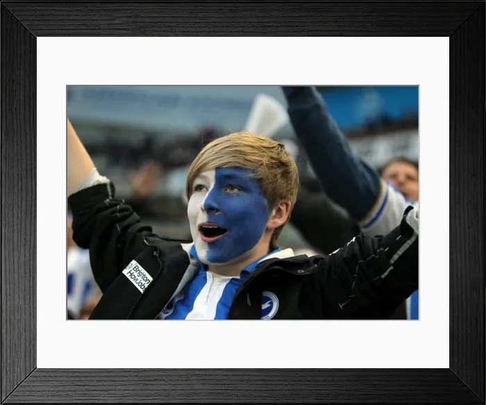 Framed Print : Brighton & Hove Albion: Electric Atmosphere - The Amex Stadium Crowd Shots (2012-2013) Framed Print : Brighton & Hove Albion: Electric Atmosphere - The Amex Stadium Crowd Shots (2012-2013)
