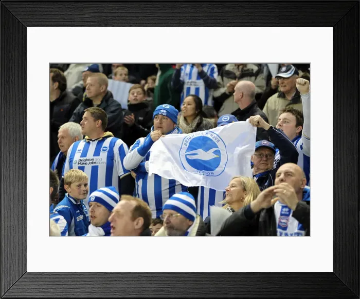 Framed Print : Brighton & Hove Albion vs. Crystal Palace: 2013 Play-Off Semifinal Second Leg Framed Print : Brighton & Hove Albion vs. Crystal Palace: 2013 Play-Off Semifinal Second Leg