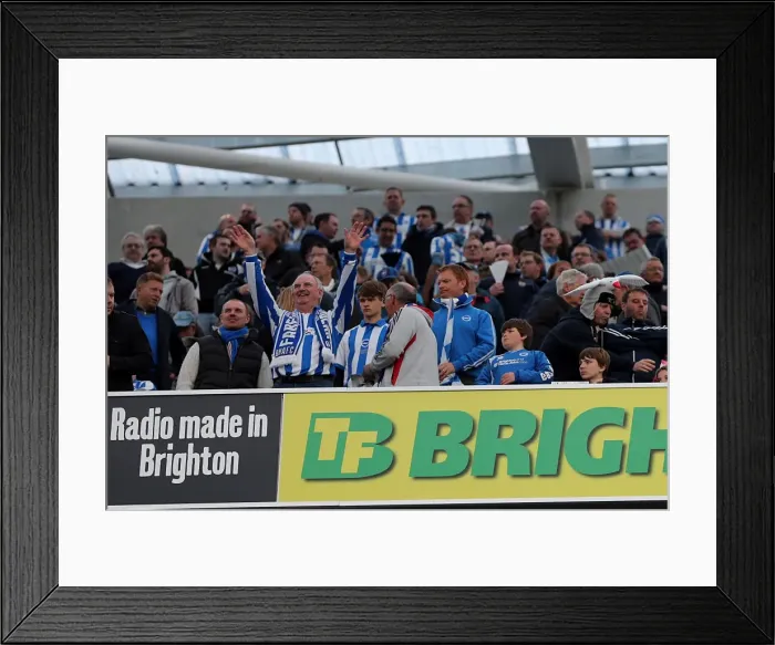 Framed Print : Brighton & Hove Albion vs. Crystal Palace: 2013 Play-Off Semifinal Second Leg Framed Print : Brighton & Hove Albion vs. Crystal Palace: 2013 Play-Off Semifinal Second Leg