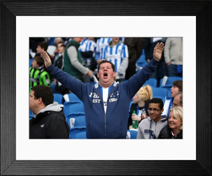 Framed Print : Brighton & Hove Albion: The Electric Atmosphere at The Amex (2012-2013) - Fans in Action