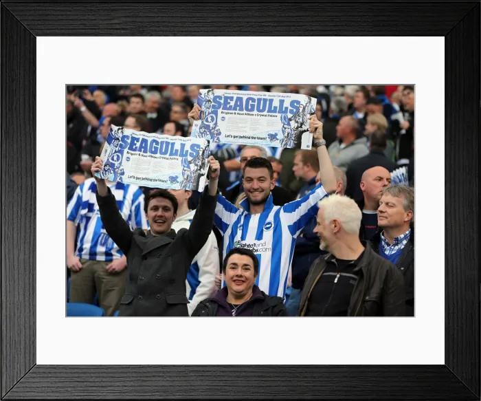 Framed Print : Brighton and Hove Albion: Electric Atmosphere - Crowd Shots at The Amex Stadium (2012-2013) Framed Print : Brighton and Hove Albion: Electric Atmosphere - Crowd Shots at The Amex Stadium (2012-2013)