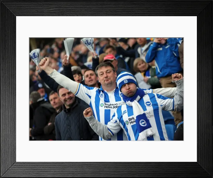 Framed Print : Brighton & Hove Albion vs. Crystal Palace: 2013 Play-Off Semifinal Second Leg Framed Print : Brighton & Hove Albion vs. Crystal Palace: 2013 Play-Off Semifinal Second Leg