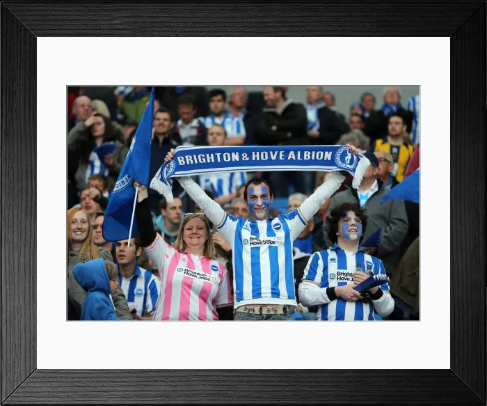 Framed Print : Brighton & Hove Albion FC: Electric Atmosphere at The Amex (2012-2013) - Crowd Shots