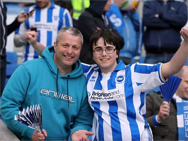 Brighton and Hove Albion FC: Electric Atmosphere of the Amex Stadium (2012-2013) - Unforgettable Crowd Moments