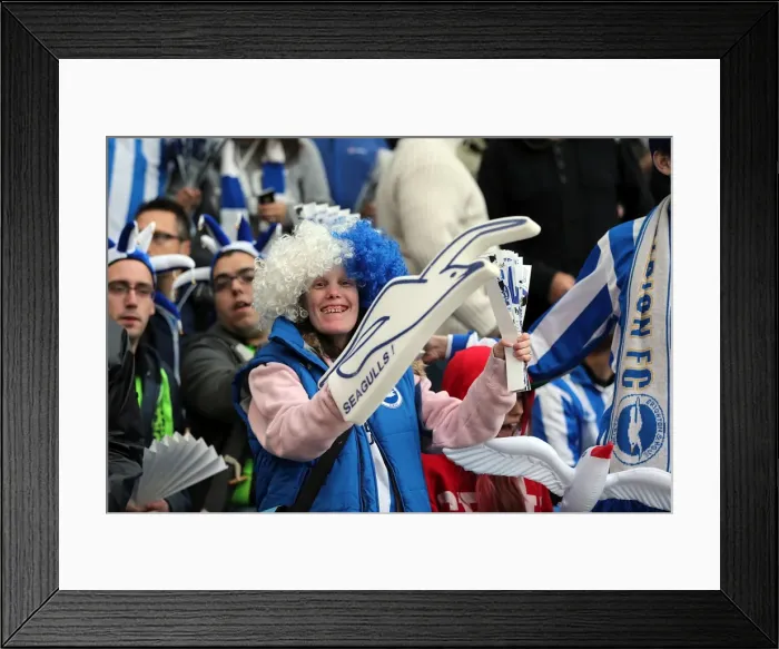 Framed Print : Brighton & Hove Albion FC: Electric Atmosphere at The Amex (2012-2013)