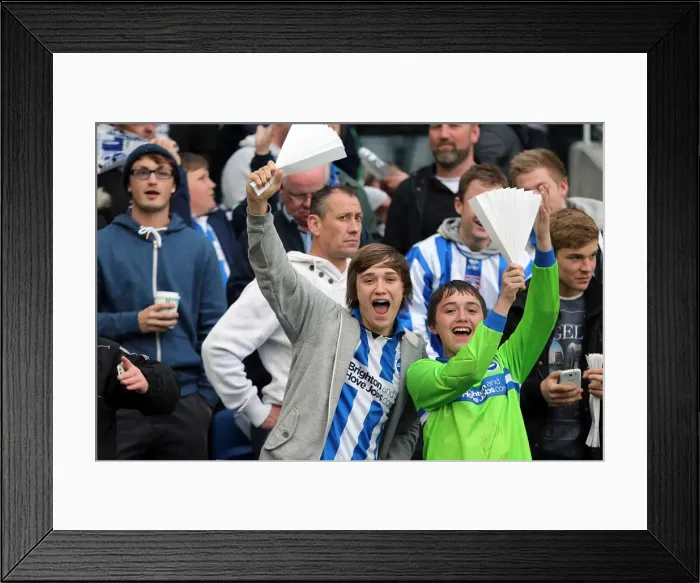 Framed Print : Brighton & Hove Albion FC: The Electric Atmosphere of the Amex Stadium (2012-2013) - Unforgettable Crowd Moments Framed Print : Brighton & Hove Albion FC: The Electric Atmosphere of the Amex Stadium (2012-2013) - Unforgettable Crowd Moments