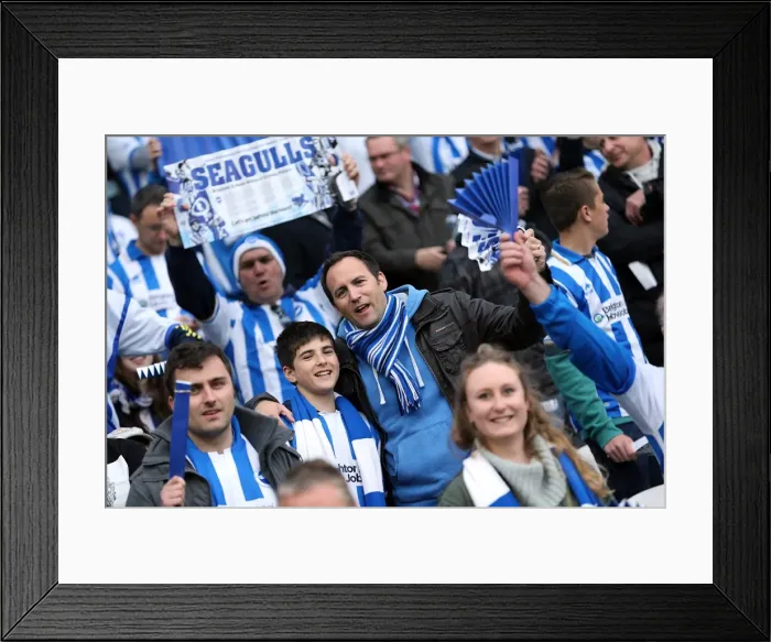 Framed Print : Brighton & Hove Albion vs. Crystal Palace: 2013 Play-Off Semifinal Second Leg Framed Print : Brighton & Hove Albion vs. Crystal Palace: 2013 Play-Off Semifinal Second Leg