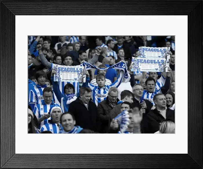 Framed Print : Brighton & Hove Albion vs. Crystal Palace: 2013 Play-Off Semifinal Second Leg Framed Print : Brighton & Hove Albion vs. Crystal Palace: 2013 Play-Off Semifinal Second Leg