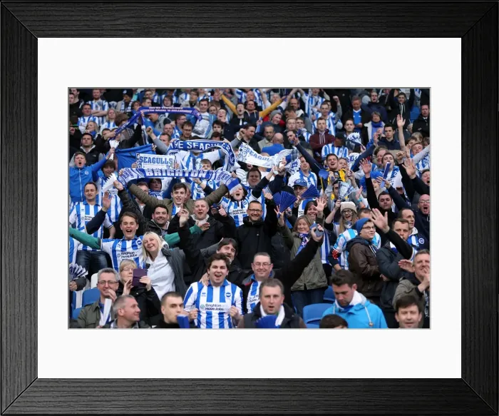 Framed Print : Brighton & Hove Albion vs. Crystal Palace: 2013 Play-Off Semifinal Second Leg Framed Print : Brighton & Hove Albion vs. Crystal Palace: 2013 Play-Off Semifinal Second Leg