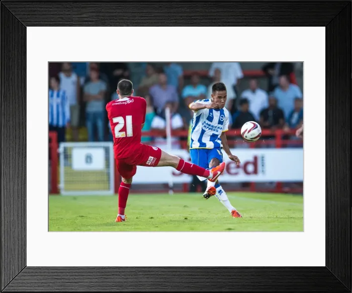 Framed Print : Brighton & Hove Albion vs Crawley Town: 2013-14 Pre-Season Clash Framed Print : Brighton & Hove Albion vs Crawley Town: 2013-14 Pre-Season Clash