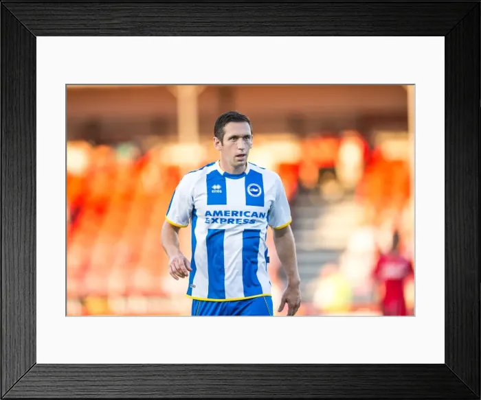 Framed Print : Brighton & Hove Albion vs Crawley Town: 2013-14 Pre-Season Clash Framed Print : Brighton & Hove Albion vs Crawley Town: 2013-14 Pre-Season Clash