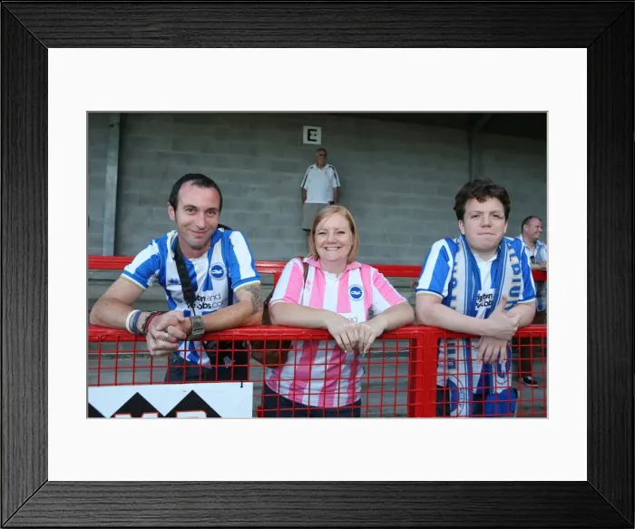Framed Print : Brighton & Hove Albion vs. Crawley Town: 2013-14 Pre-Season Clash Framed Print : Brighton & Hove Albion vs. Crawley Town: 2013-14 Pre-Season Clash