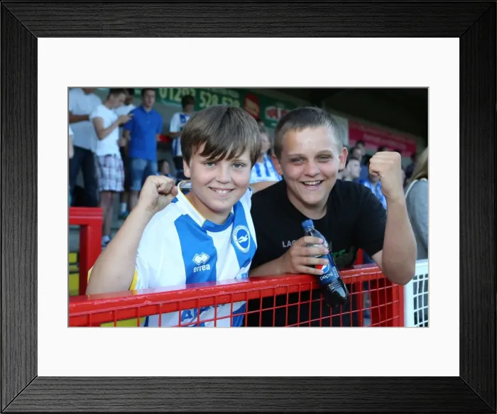 Framed Print : Brighton & Hove Albion vs Crawley Town: 2013-14 Pre-Season Clash Framed Print : Brighton & Hove Albion vs Crawley Town: 2013-14 Pre-Season Clash