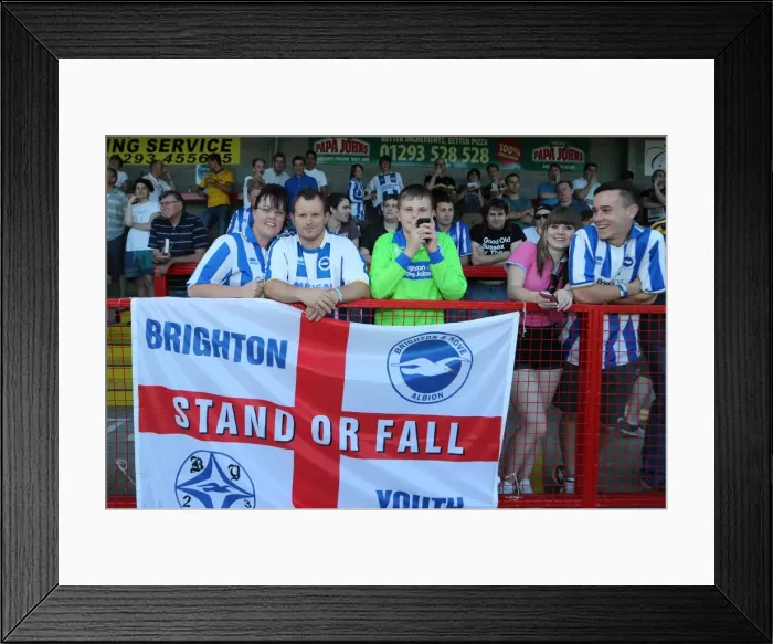 Framed Print : Brighton & Hove Albion vs Crawley Town: 2013-14 Pre-Season Clash Framed Print : Brighton & Hove Albion vs Crawley Town: 2013-14 Pre-Season Clash