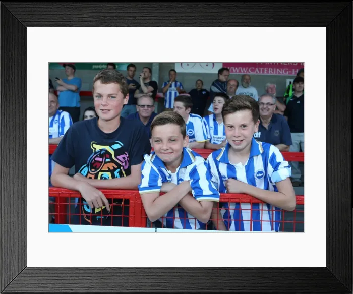 Framed Print : Brighton & Hove Albion vs Crawley Town: 2013-14 Pre-Season Clash Framed Print : Brighton & Hove Albion vs Crawley Town: 2013-14 Pre-Season Clash