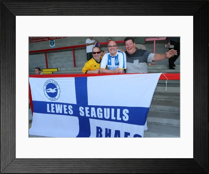 Framed Print : Brighton & Hove Albion vs Crawley Town: 2013-14 Pre-Season Clash Framed Print : Brighton & Hove Albion vs Crawley Town: 2013-14 Pre-Season Clash