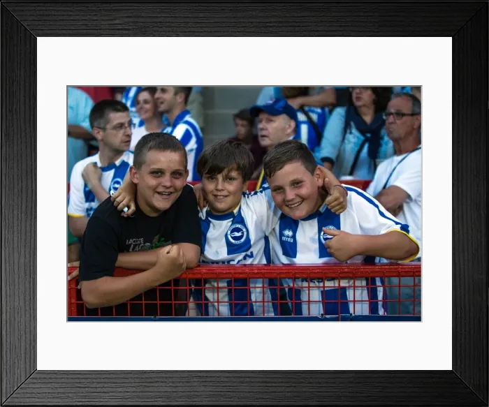 Framed Print : Brighton & Hove Albion Pre-Season 2013-14: Clash Against Crawley Town (July 24) Framed Print : Brighton & Hove Albion Pre-Season 2013-14: Clash Against Crawley Town (July 24)