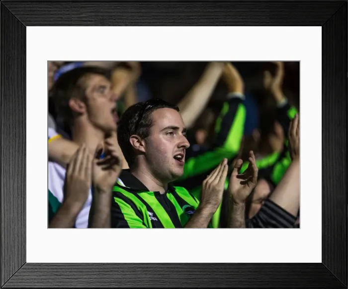 Framed Print : Brighton & Hove Albion vs Crawley Town: 2013-14 Pre-Season Clash Framed Print : Brighton & Hove Albion vs Crawley Town: 2013-14 Pre-Season Clash