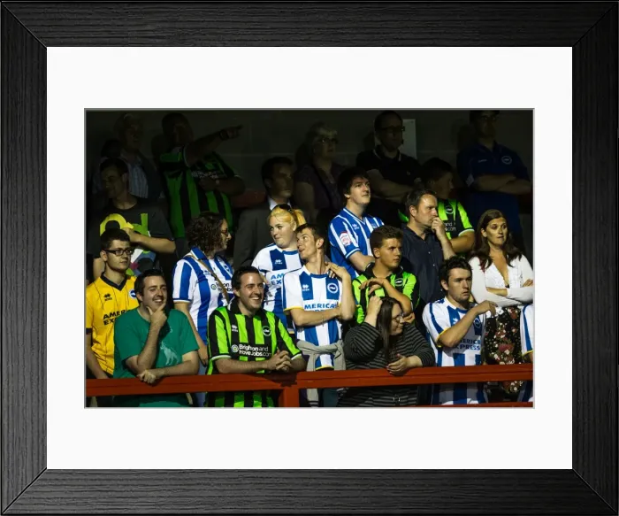 Framed Print : Brighton & Hove Albion Pre-Season 2013-14: Clash Against Crawley Town (July 24) Framed Print : Brighton & Hove Albion Pre-Season 2013-14: Clash Against Crawley Town (July 24)