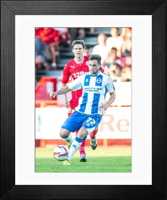 Framed Print : Brighton & Hove Albion vs Crawley Town: 2013-14 Pre-Season Clash Framed Print : Brighton & Hove Albion vs Crawley Town: 2013-14 Pre-Season Clash