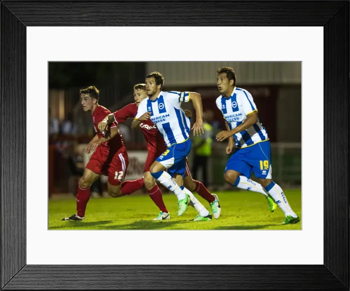Framed Print : Brighton & Hove Albion vs. Crawley Town: 2013-14 Pre-Season Clash Framed Print : Brighton & Hove Albion vs. Crawley Town: 2013-14 Pre-Season Clash
