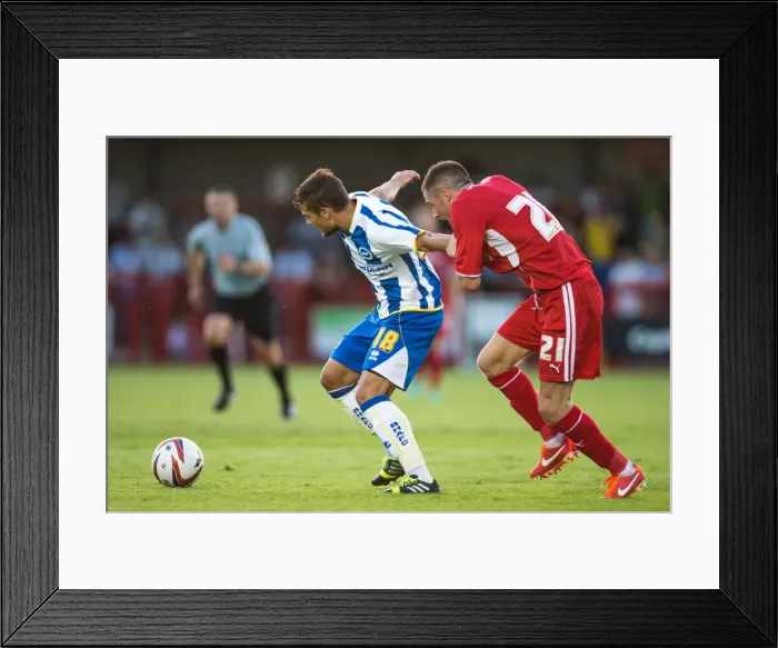 Framed Print : Brighton & Hove Albion vs Crawley Town: 2013-14 Pre-Season Clash Framed Print : Brighton & Hove Albion vs Crawley Town: 2013-14 Pre-Season Clash