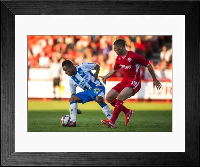 Framed Print : Brighton & Hove Albion vs Crawley Town: 2013-14 Pre-Season Clash Framed Print : Brighton & Hove Albion vs Crawley Town: 2013-14 Pre-Season Clash