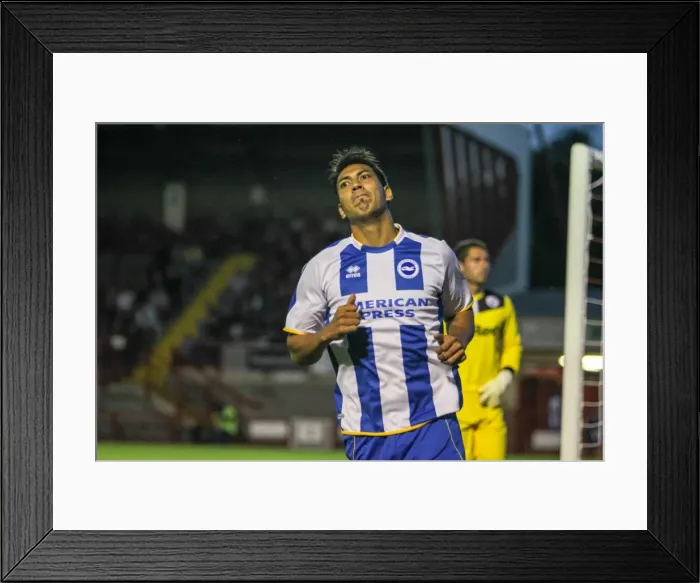 Framed Print : Brighton & Hove Albion vs Crawley Town: 2013-14 Pre-Season Clash Framed Print : Brighton & Hove Albion vs Crawley Town: 2013-14 Pre-Season Clash