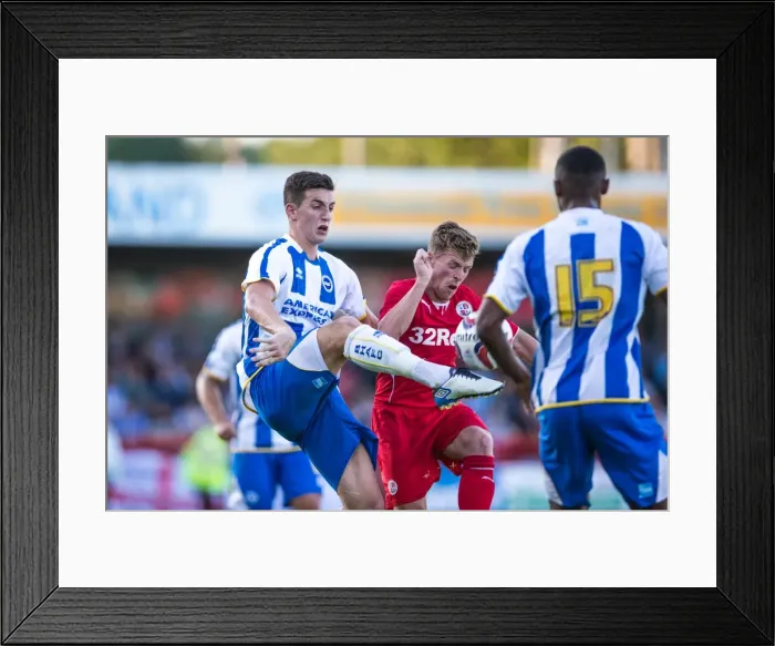 Framed Print : Brighton & Hove Albion vs Crawley Town: 2013-14 Pre-Season Clash Framed Print : Brighton & Hove Albion vs Crawley Town: 2013-14 Pre-Season Clash