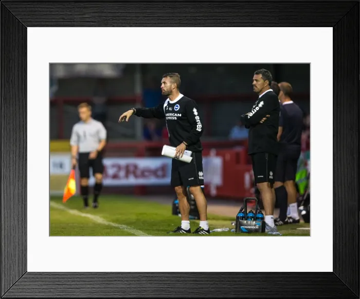 Framed Print : Brighton & Hove Albion vs. Crawley Town: 2013-14 Pre-Season Clash Framed Print : Brighton & Hove Albion vs. Crawley Town: 2013-14 Pre-Season Clash