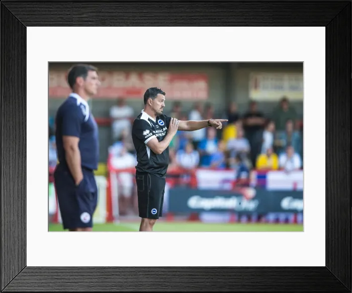 Framed Print : Brighton & Hove Albion Pre-Season 2013-14: Clash with Crawley Town (July 24) Framed Print : Brighton & Hove Albion Pre-Season 2013-14: Clash with Crawley Town (July 24)