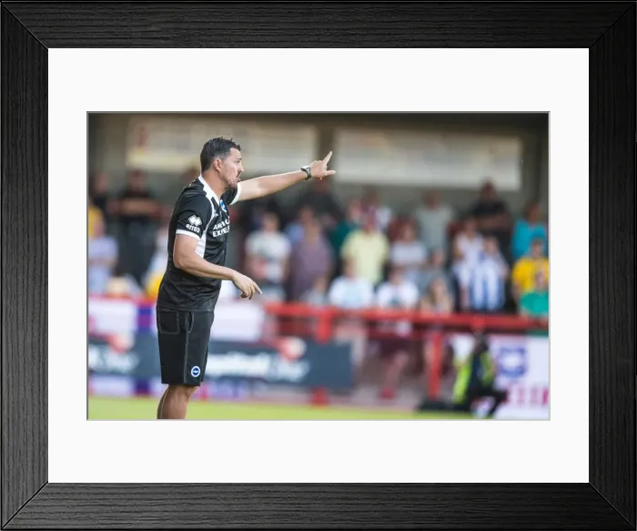 Framed Print : Brighton & Hove Albion vs Crawley Town: 2013-14 Pre-Season Clash Framed Print : Brighton & Hove Albion vs Crawley Town: 2013-14 Pre-Season Clash