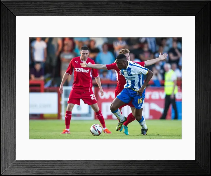 Framed Print : Brighton & Hove Albion vs Crawley Town: 2013-14 Pre-Season Clash Framed Print : Brighton & Hove Albion vs Crawley Town: 2013-14 Pre-Season Clash