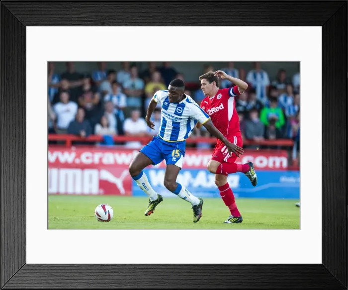Framed Print : Brighton & Hove Albion vs Crawley Town: 2013-14 Pre-Season Clash Framed Print : Brighton & Hove Albion vs Crawley Town: 2013-14 Pre-Season Clash