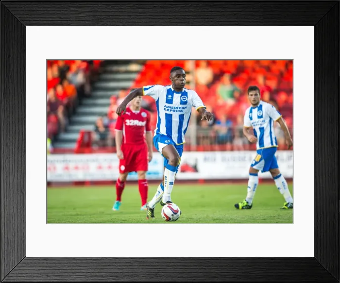 Framed Print : Brighton & Hove Albion vs Crawley Town: 2013-14 Pre-Season Clash Framed Print : Brighton & Hove Albion vs Crawley Town: 2013-14 Pre-Season Clash