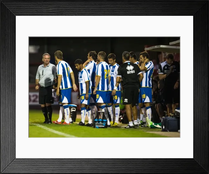 Framed Print : Brighton & Hove Albion Pre-Season 2013-14: Clash Against Crawley Town (July 24) Framed Print : Brighton & Hove Albion Pre-Season 2013-14: Clash Against Crawley Town (July 24)