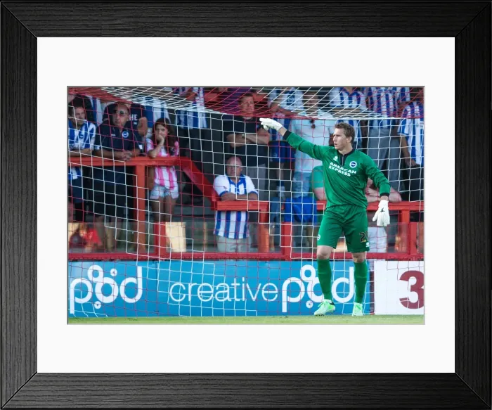 Framed Print : Brighton & Hove Albion vs Crawley Town: Pre-Season Clash (2013-14) Framed Print : Brighton & Hove Albion vs Crawley Town: Pre-Season Clash (2013-14)