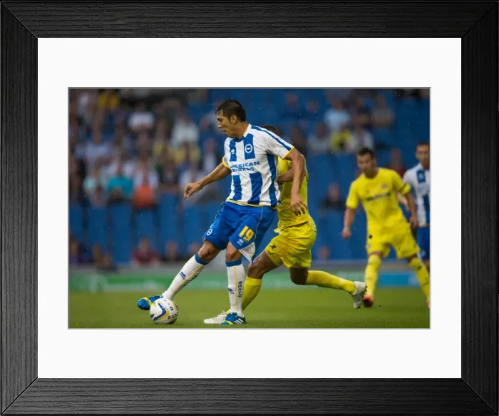 Framed Print : Brighton Crystal Palace130513 Framed Print : Brighton Crystal Palace130513
