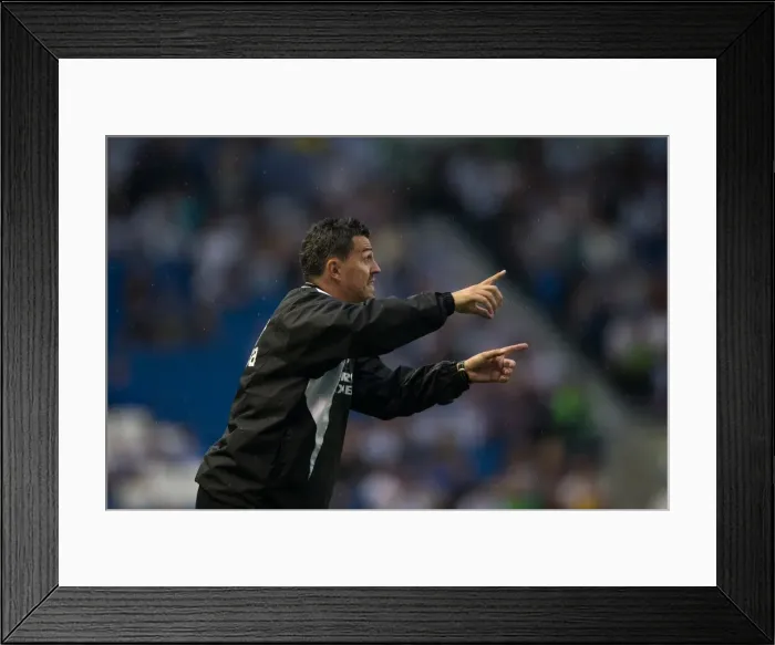 Framed Print : Oscar Garcia Directs Brighton & Hove Albion Against Villarreal at Amex Stadium (July 27, 2013) Framed Print : Oscar Garcia Directs Brighton & Hove Albion Against Villarreal at Amex Stadium (July 27, 2013)