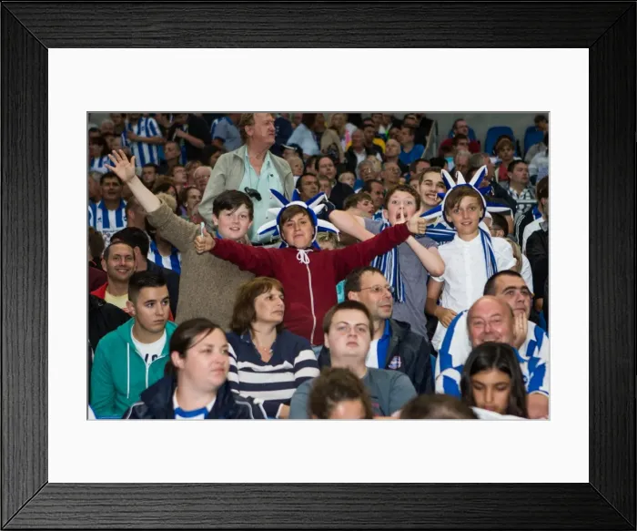 Framed Print : Brighton & Hove Albion vs Villarreal: Pre-Season Clash (July 27, 2013)