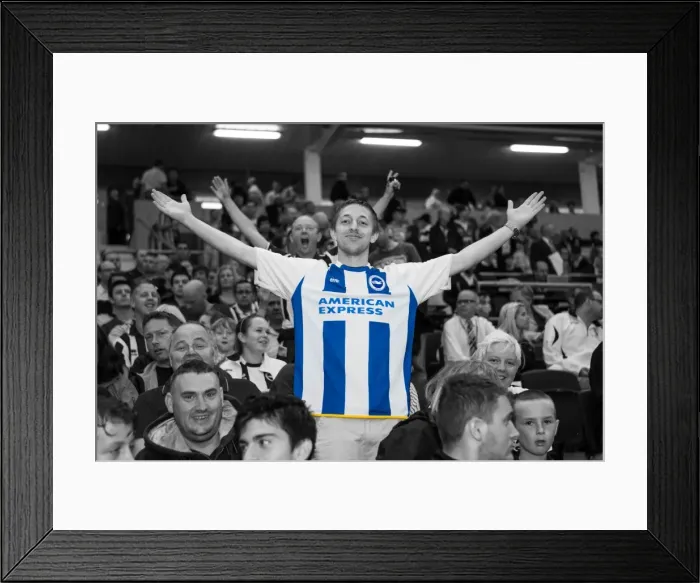 Framed Print : Brighton & Hove Albion vs Villarreal: Pre-Season Friendly (2013-14) Framed Print : Brighton & Hove Albion vs Villarreal: Pre-Season Friendly (2013-14)