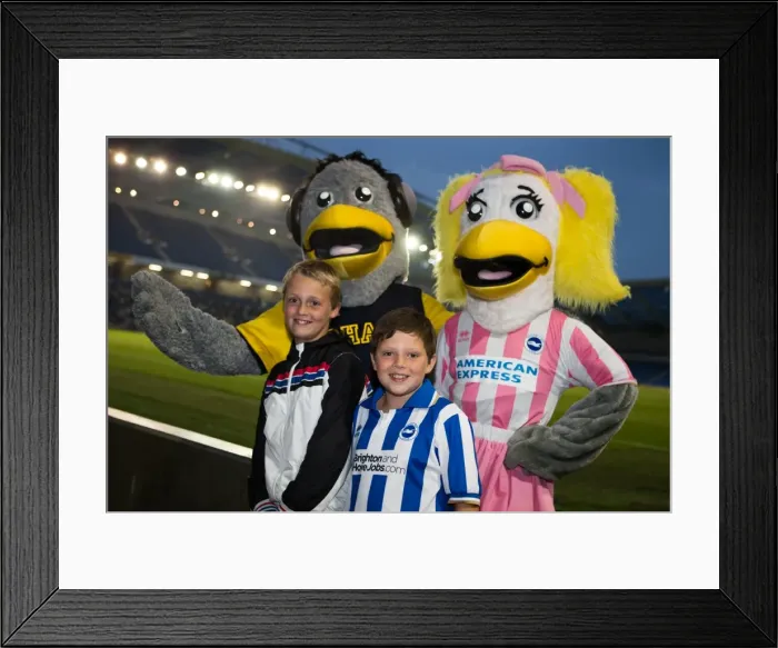 Framed Print : Brighton & Hove Albion vs Villarreal: Pre-Season Clash (July 27, 2013) Framed Print : Brighton & Hove Albion vs Villarreal: Pre-Season Clash (July 27, 2013)