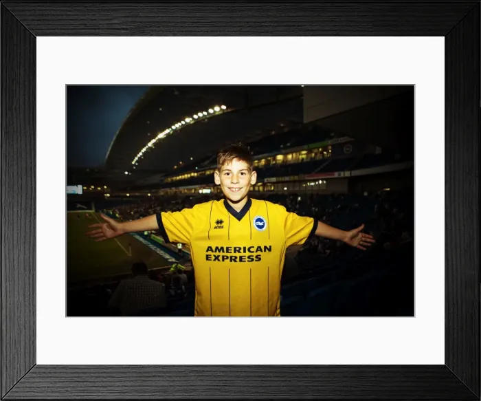 Framed Print : Brighton & Hove Albion vs Villarreal: 2013-14 Pre-Season Clash Framed Print : Brighton & Hove Albion vs Villarreal: 2013-14 Pre-Season Clash